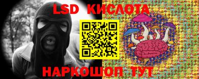 PSILOCYBIN Краснознаменск
