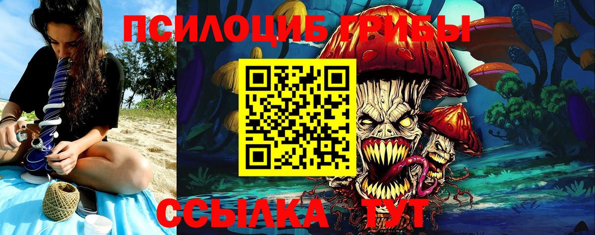 Кохма  Галлюциногенные грибы GOLDEN TEACHER  Вход с VPN 